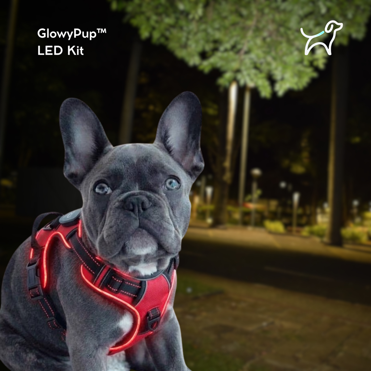 GlowyPup™ LED Kit