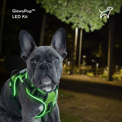 GlowyPup™ LED Kit