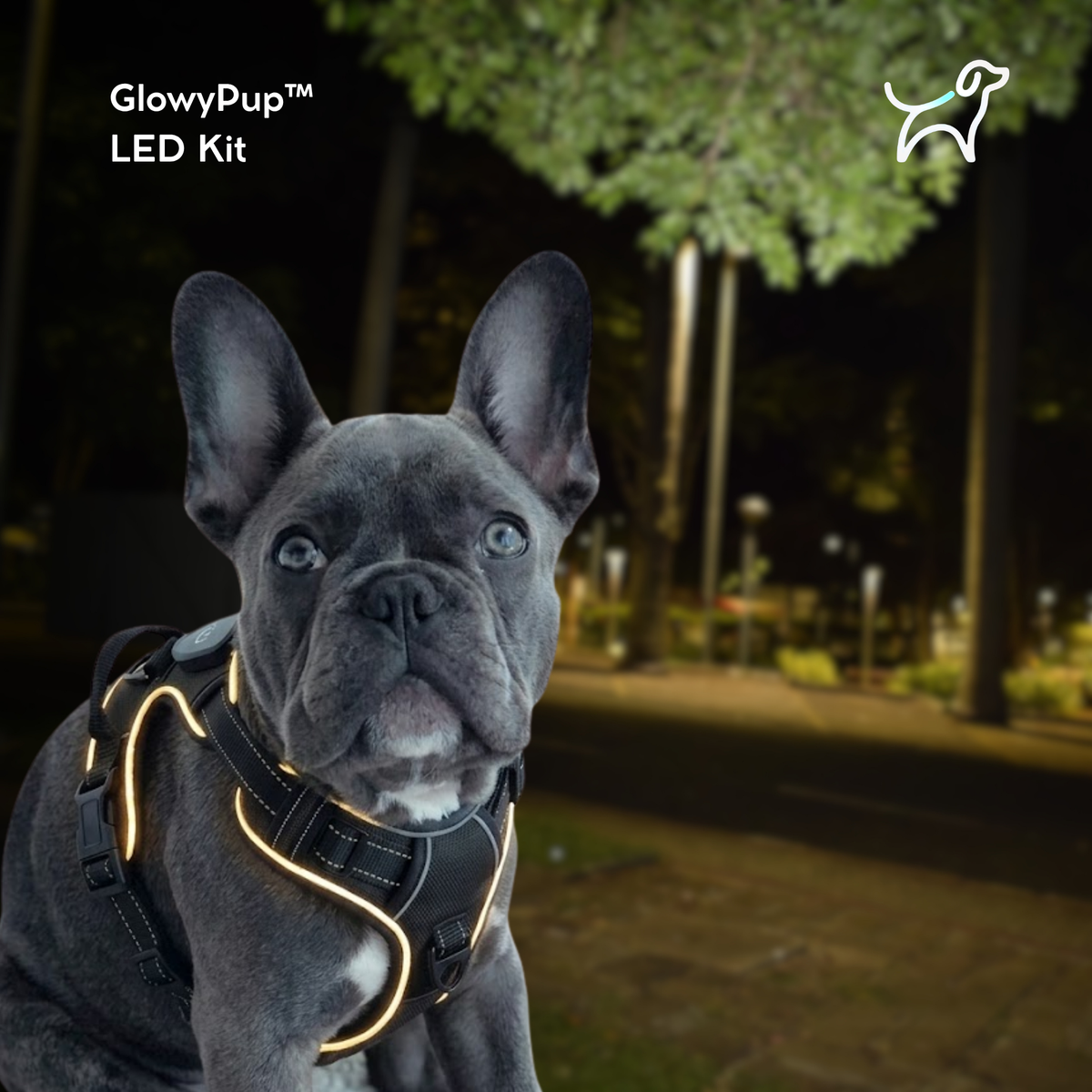 GlowyPup™ LED Kit