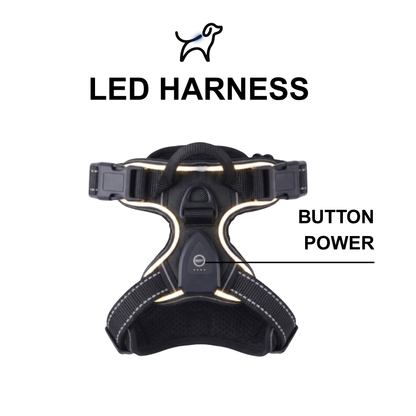 GlowyPup™ LED Kit