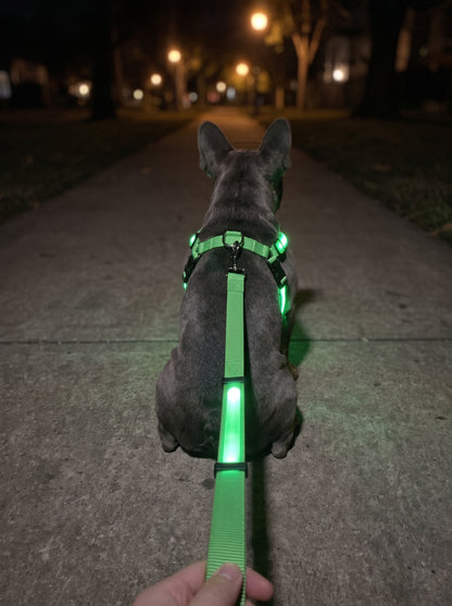 GlowyPup™ LED Kit